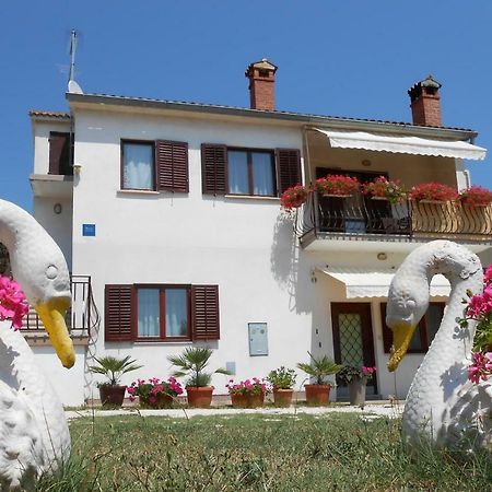 Apartman Mirela Rovinj Ngoại thất bức ảnh